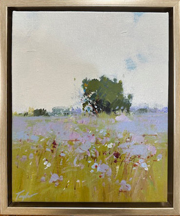 Meadow in Bloom