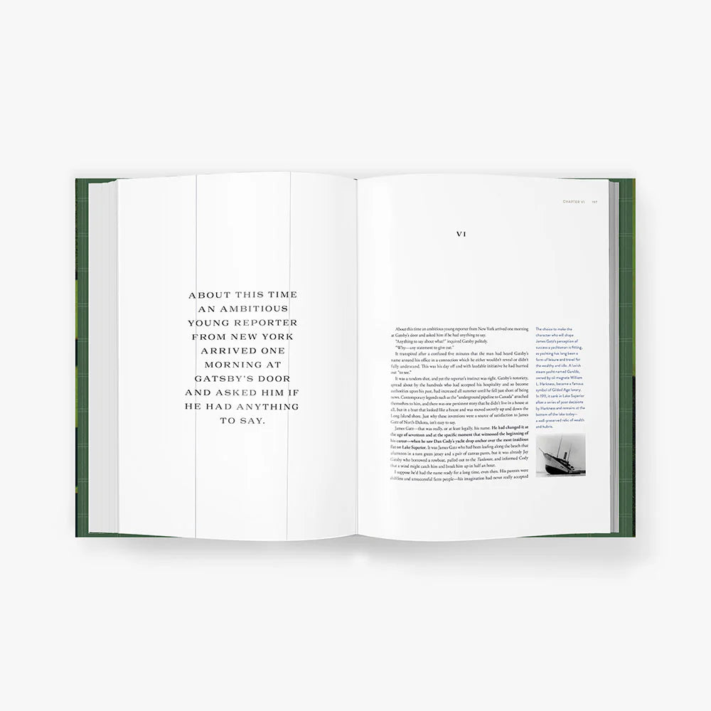 The Great Gatsby Art Novel™