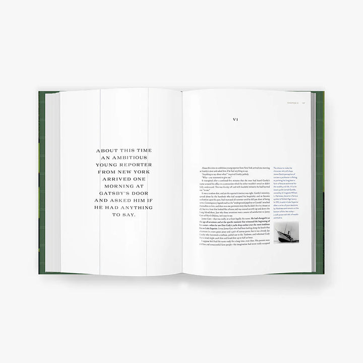 The Great Gatsby Art Novel™