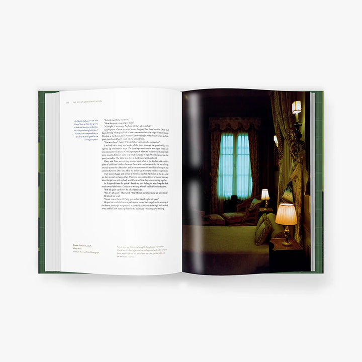 The Great Gatsby Art Novel™