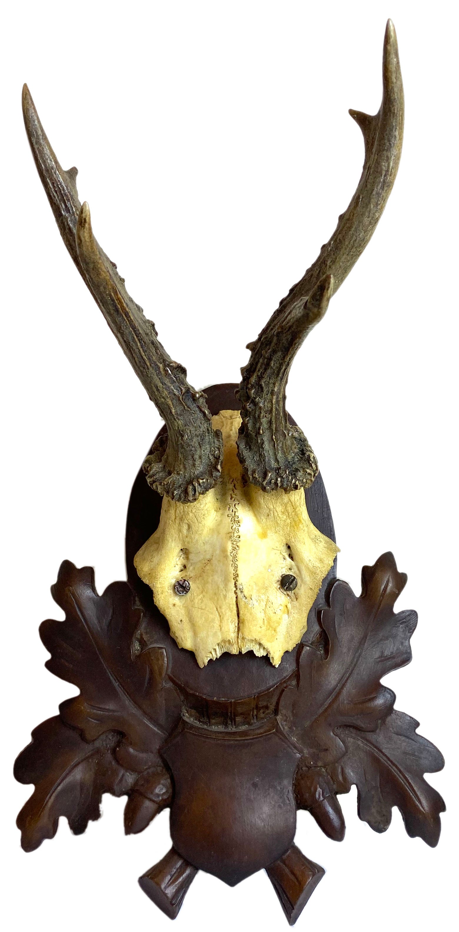 Black Forest Hunting Trophy – Patina Polished Living