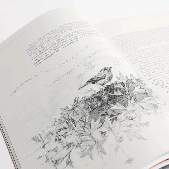The Secret Garden Art Novel™