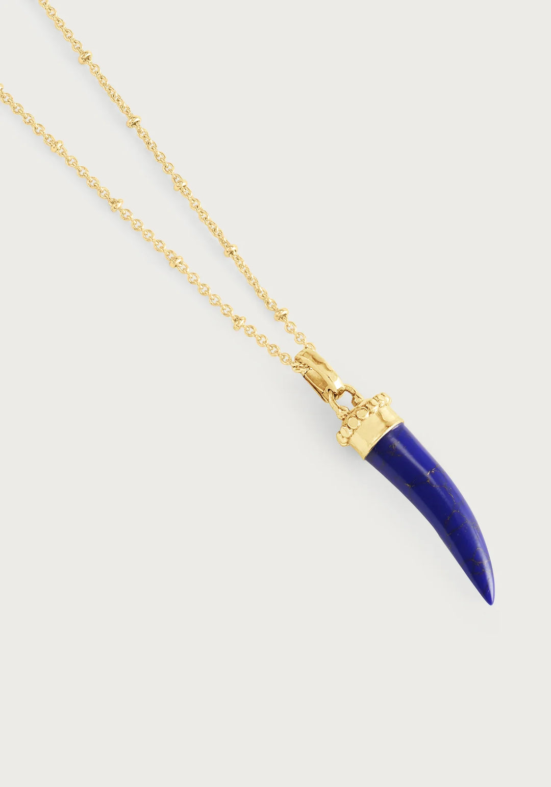 Forza Stone Horn Charm