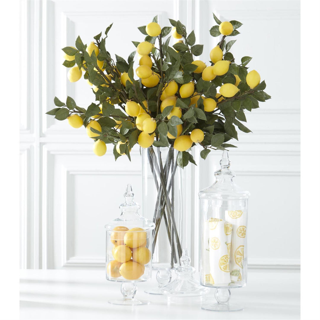 Glass Lidded Display Jar