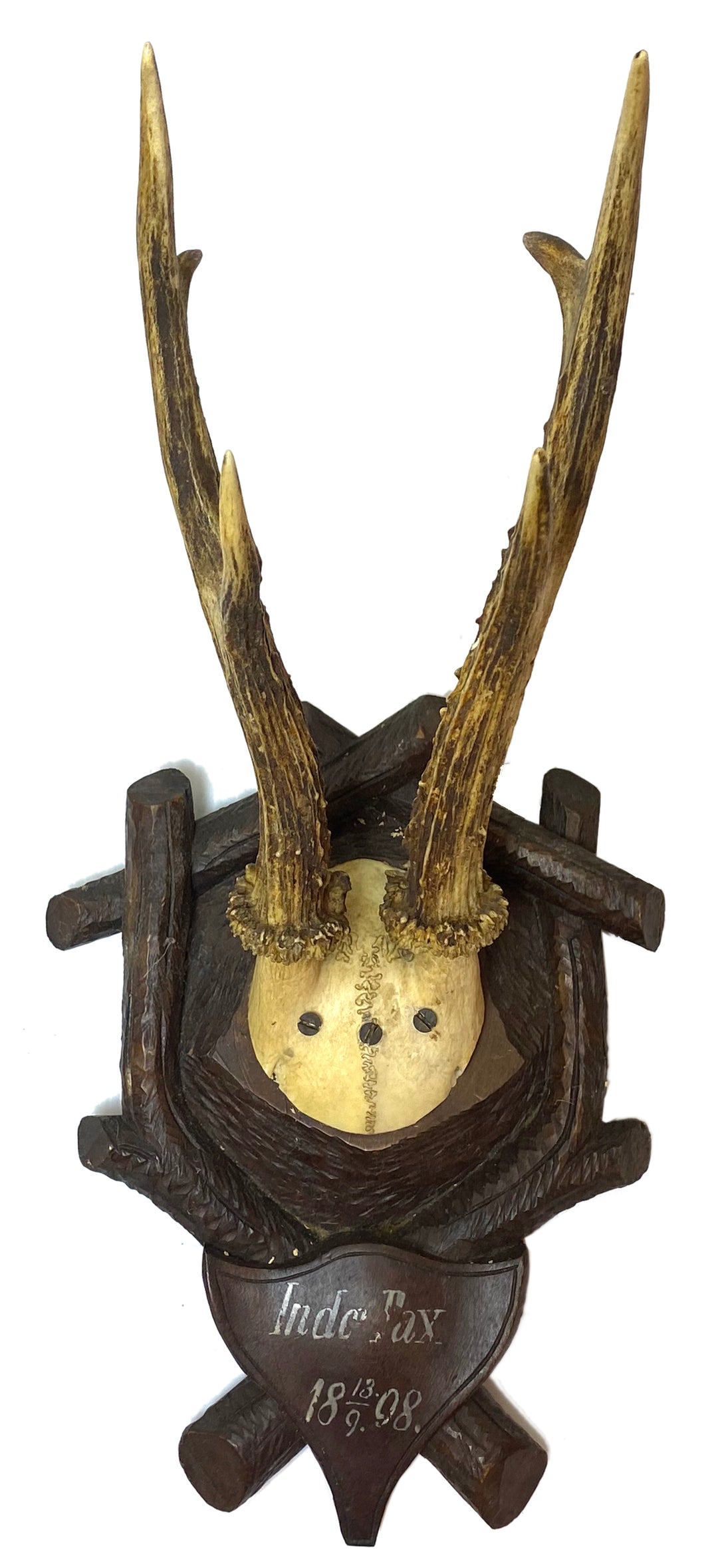 Trophy Mount on Wooden Carved Plaque c. 1898