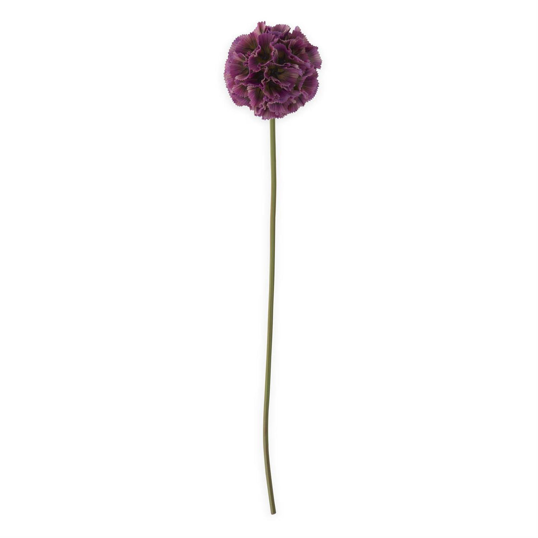 Dark Purple Scabiosa Pod Stem