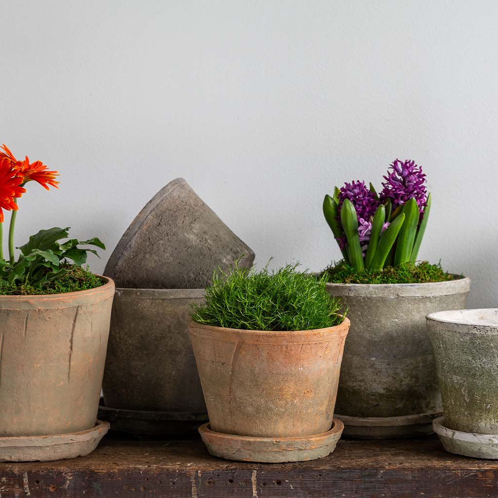Farmer's Tall Cylinder Pot