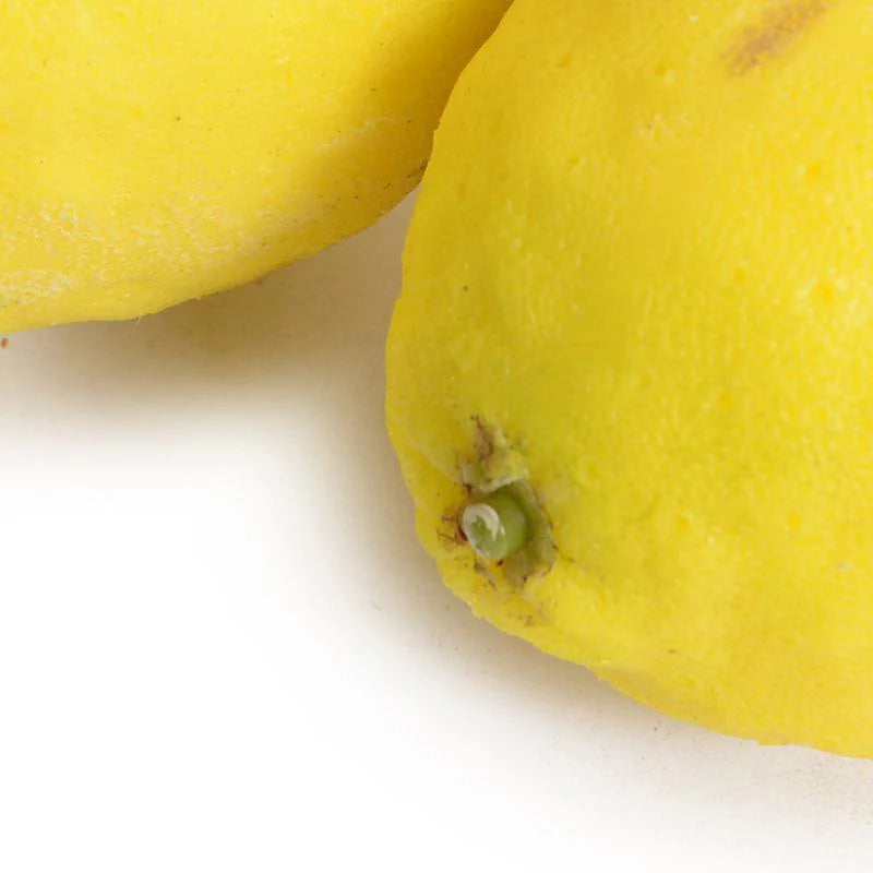 Real Touch Lemons or Limes