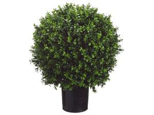 Boxwood Ball Topiary-23.5 in