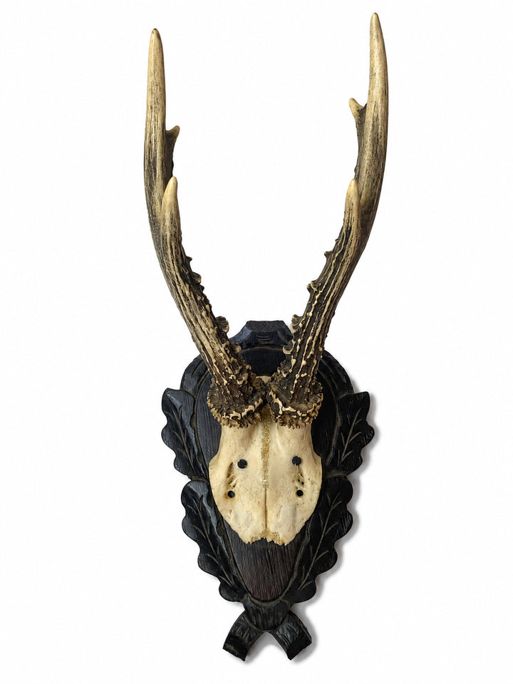 Vintage European Antler Trophy Mount on Carved Shield