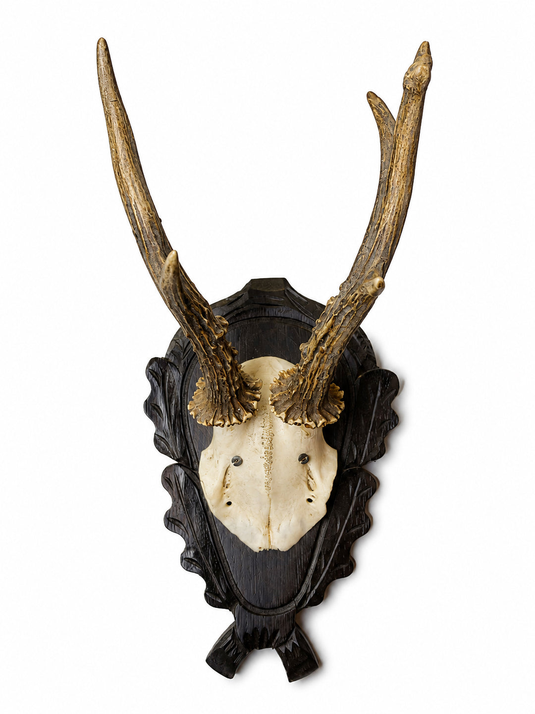Vintage European Antler Trophy Mount on Carved Shield