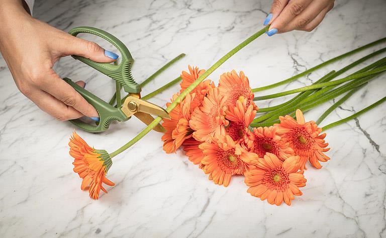 Short Blade Floral Snips