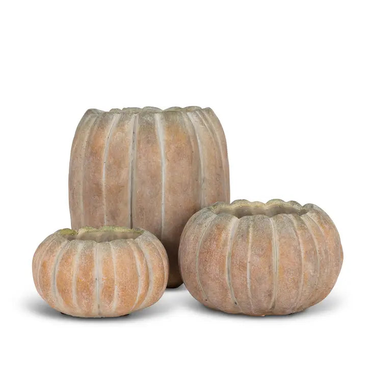 Pumpkin Planter
