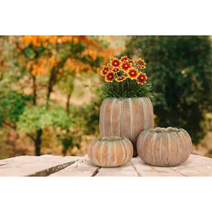 Pumpkin Planter