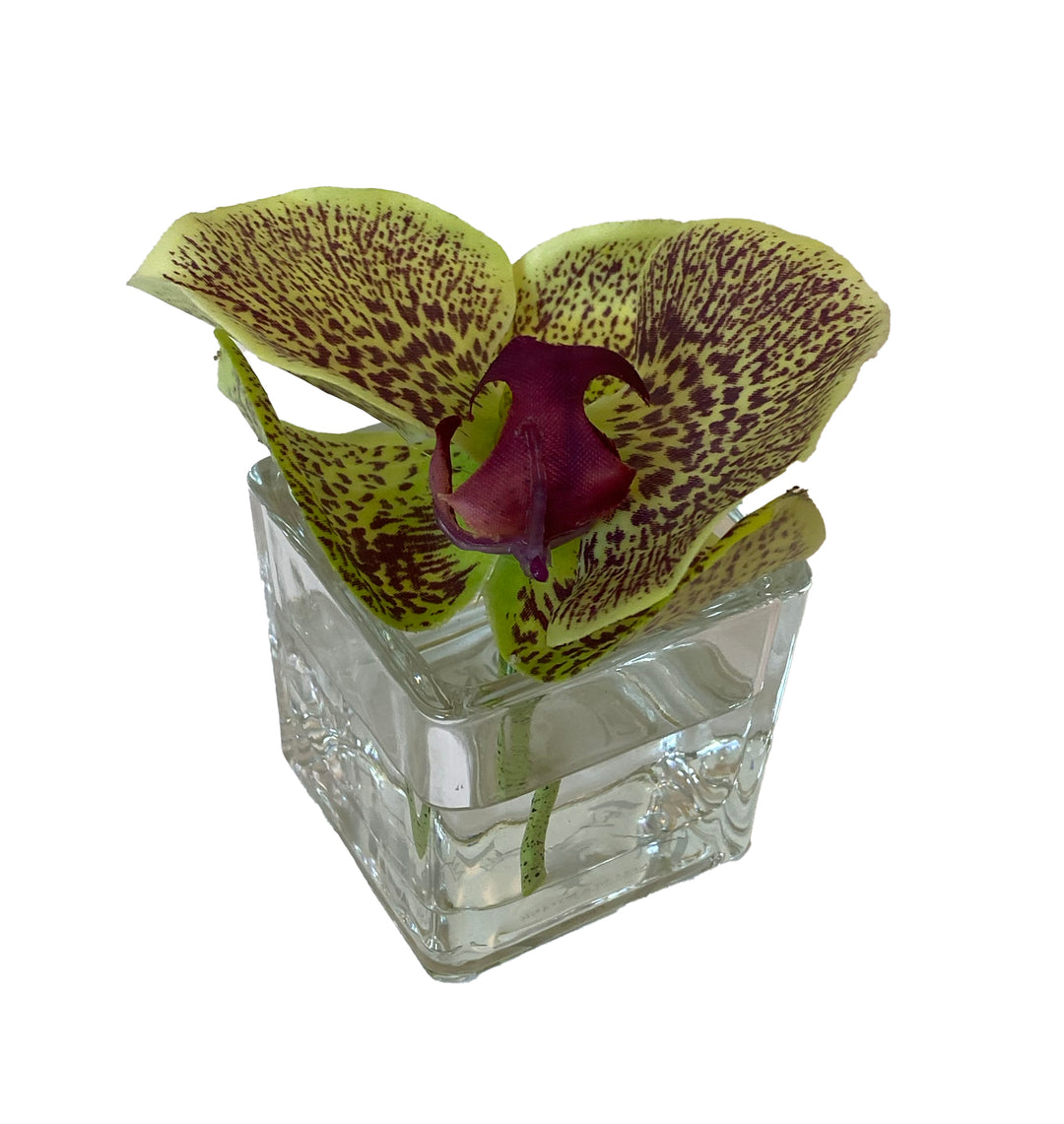 Faux Orchid Blossoms in Glass Vases