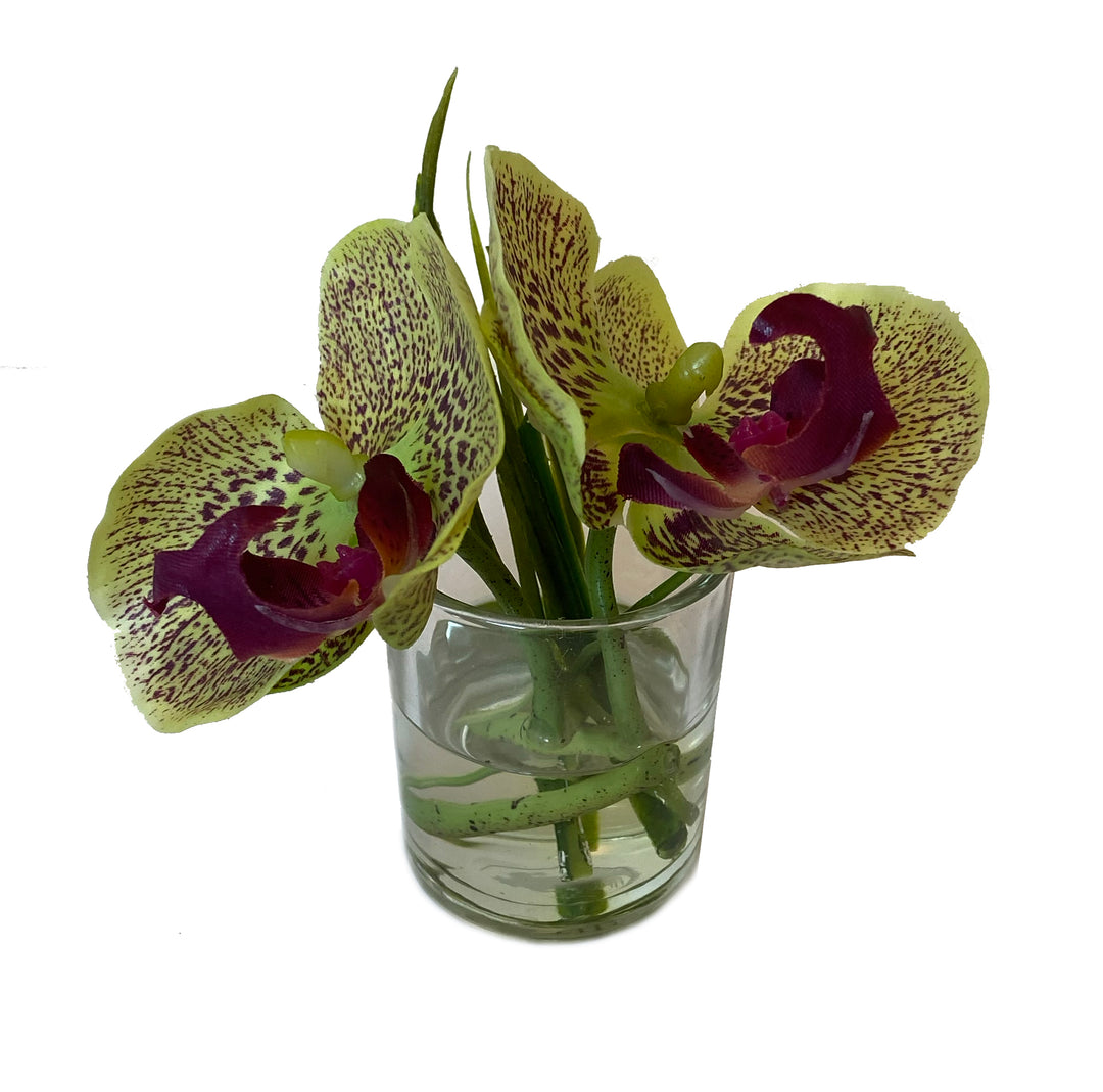 Faux Orchid Blossoms in Glass Vases
