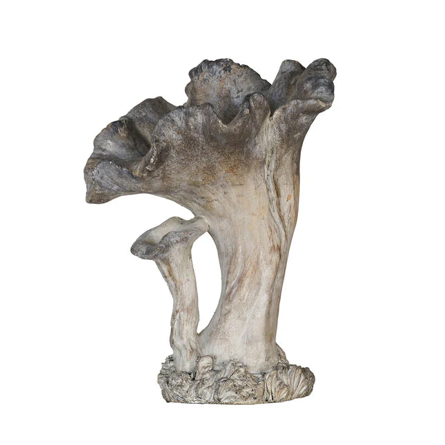Concrete Mushroom Specimen