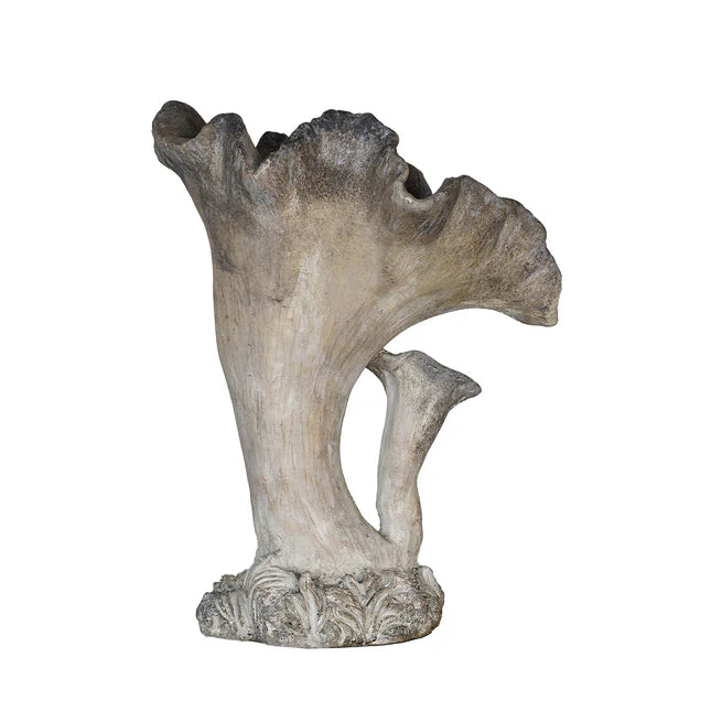 Concrete Mushroom Specimen