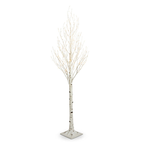 Lit Birch Tree