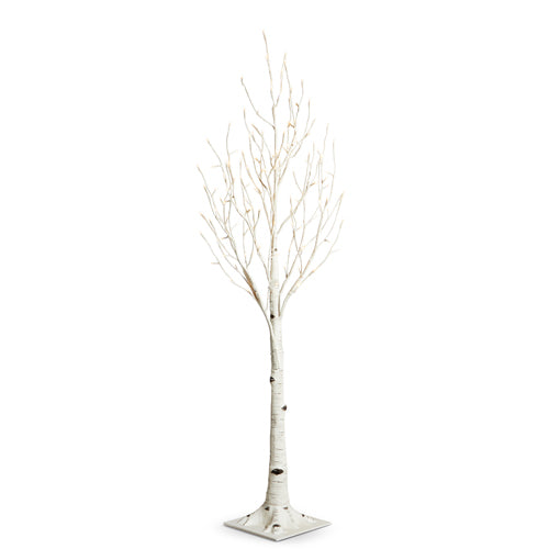 Lit Birch Tree