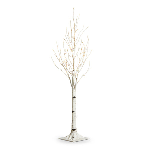 Lit Birch Tree