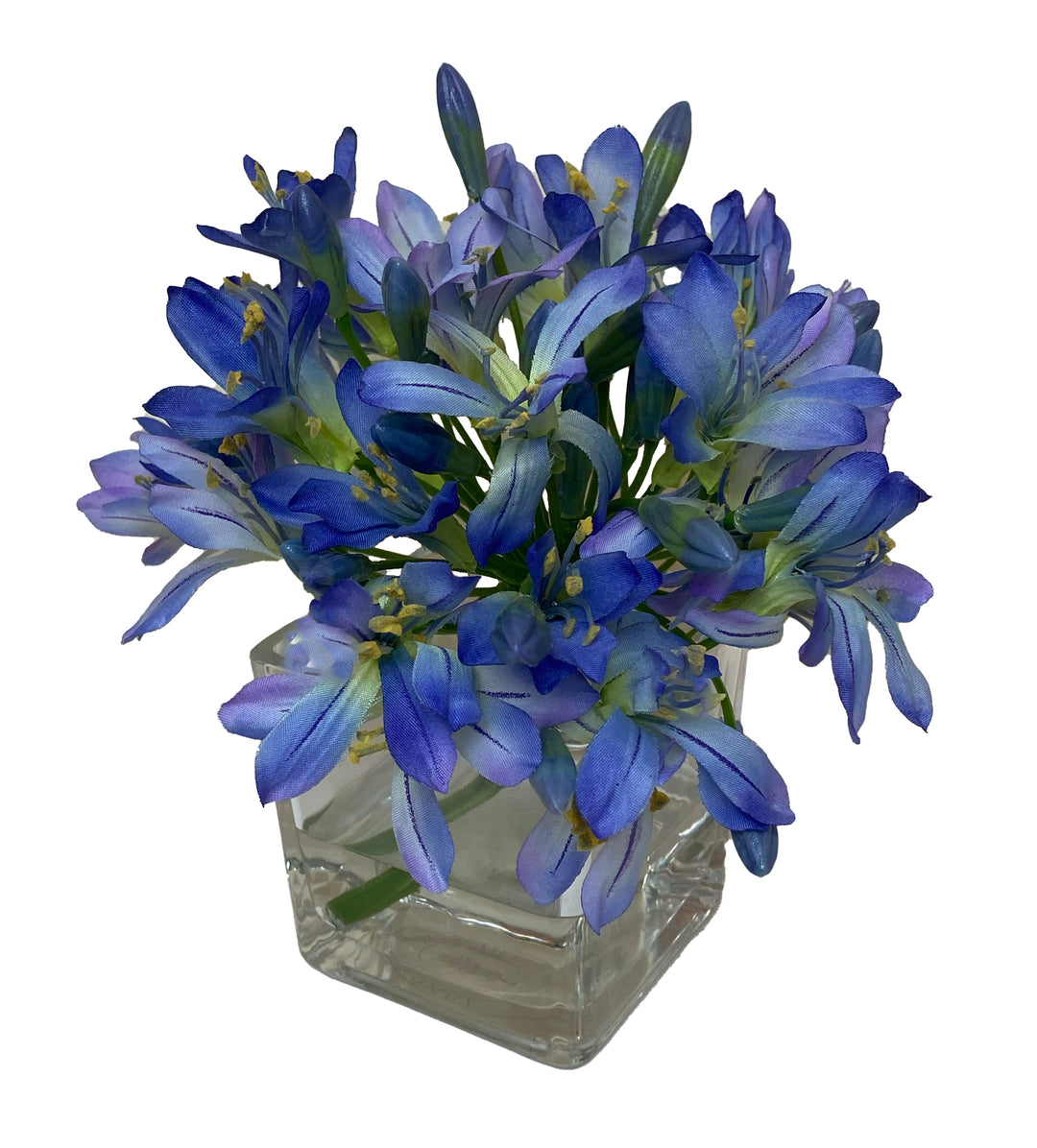 Agapanthus Blossom in 3" Square Glass Vase