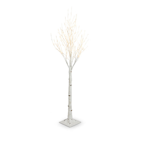 Lit Birch Tree