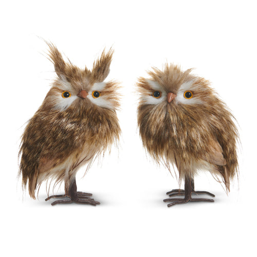 Brown Owl Ornament, Set of 2