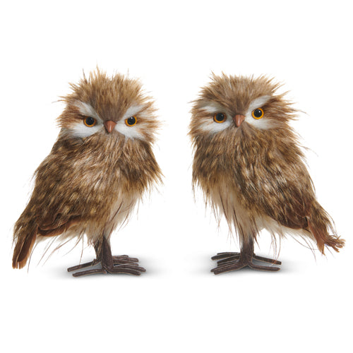 Brown Owl Ornament, Set of 2