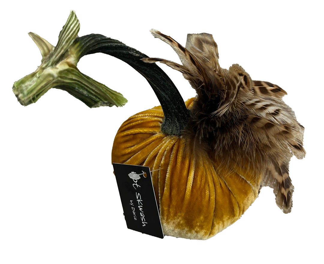Velvet Pumpkin with Feather Collar
