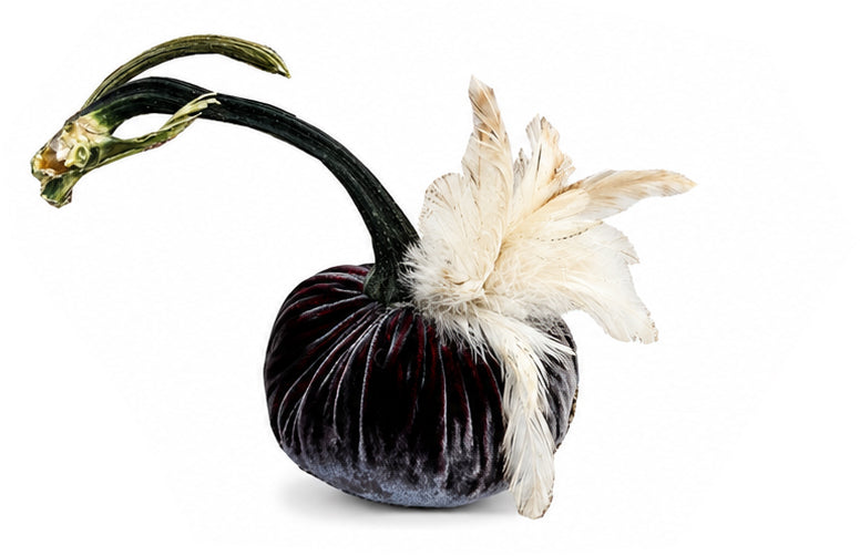 Velvet Pumpkin with Feather Collar