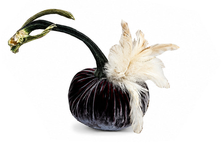 Velvet Pumpkin with Feather Collar
