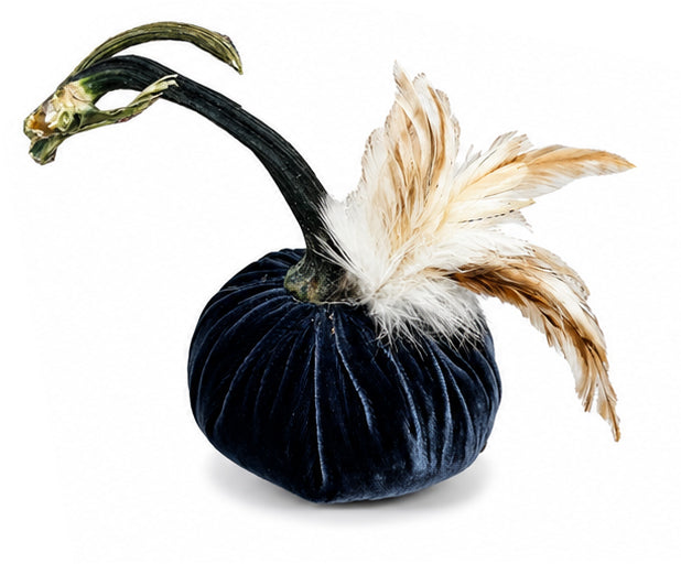 Velvet Pumpkin with Feather Collar
