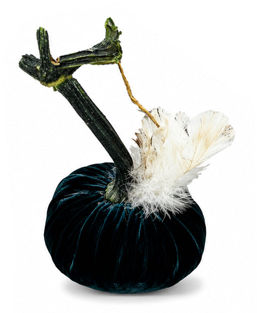 Velvet Pumpkin with Feather Collar