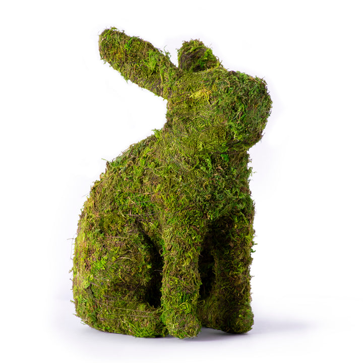 Moss Plantable Bunny