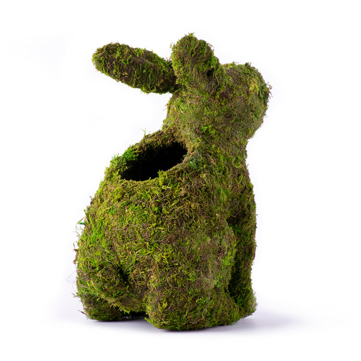 Moss Plantable Bunny