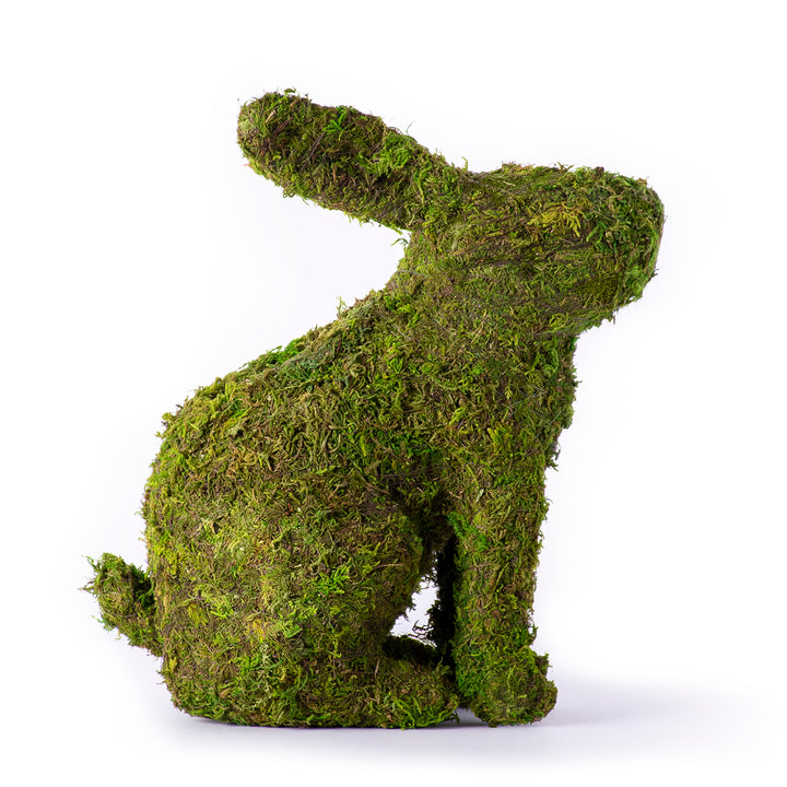 Moss Plantable Bunny