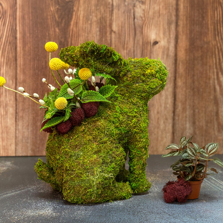 Moss Plantable Bunny