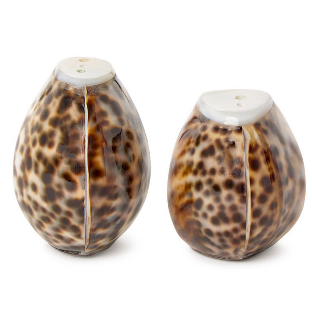 Tiger Cowrie Shell Salt + Pepper