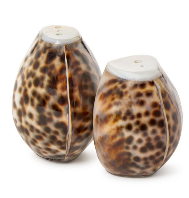 Tiger Cowrie Shell Salt + Pepper