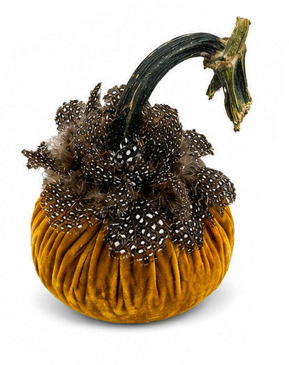 Velvet Pumpkin with Feather Collar