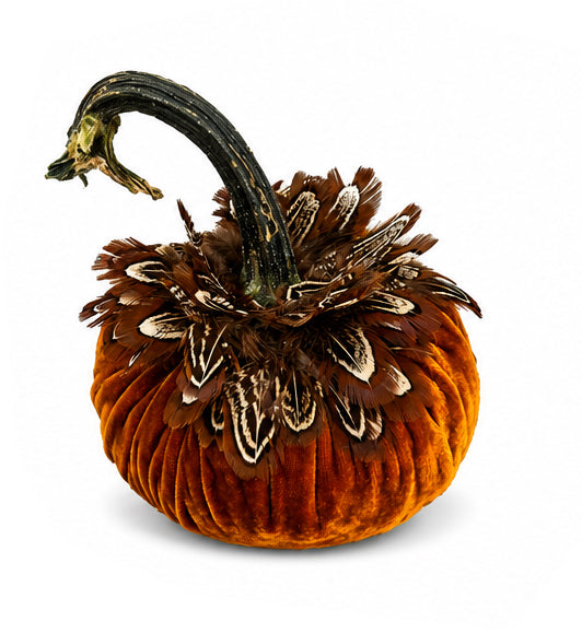 Velvet Pumpkin with Feather Collar