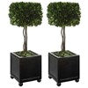 Preserved Boxwood Square Topiaries, Set/2