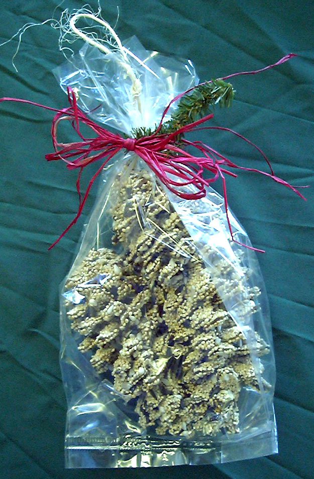 Pinecone Pair