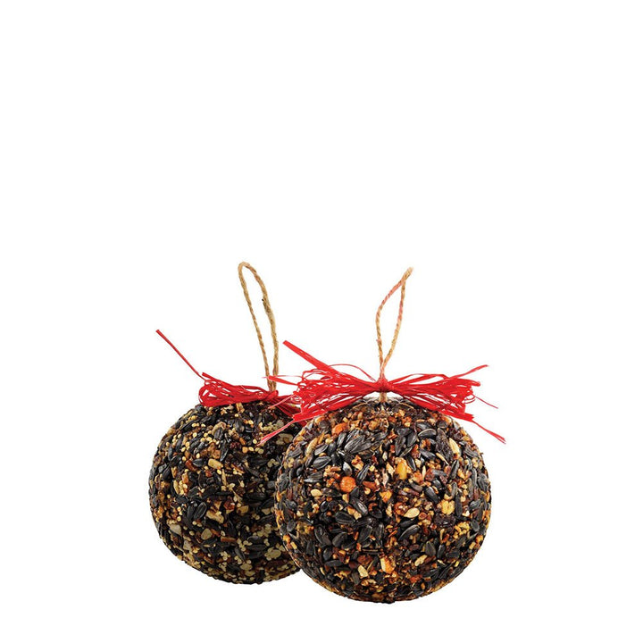 Seed or Nut Ornament