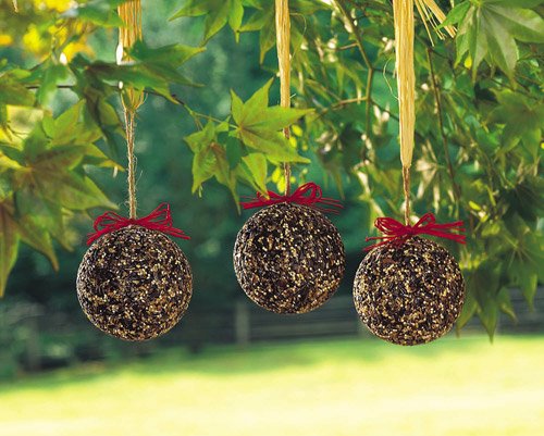 Seed or Nut Ornament