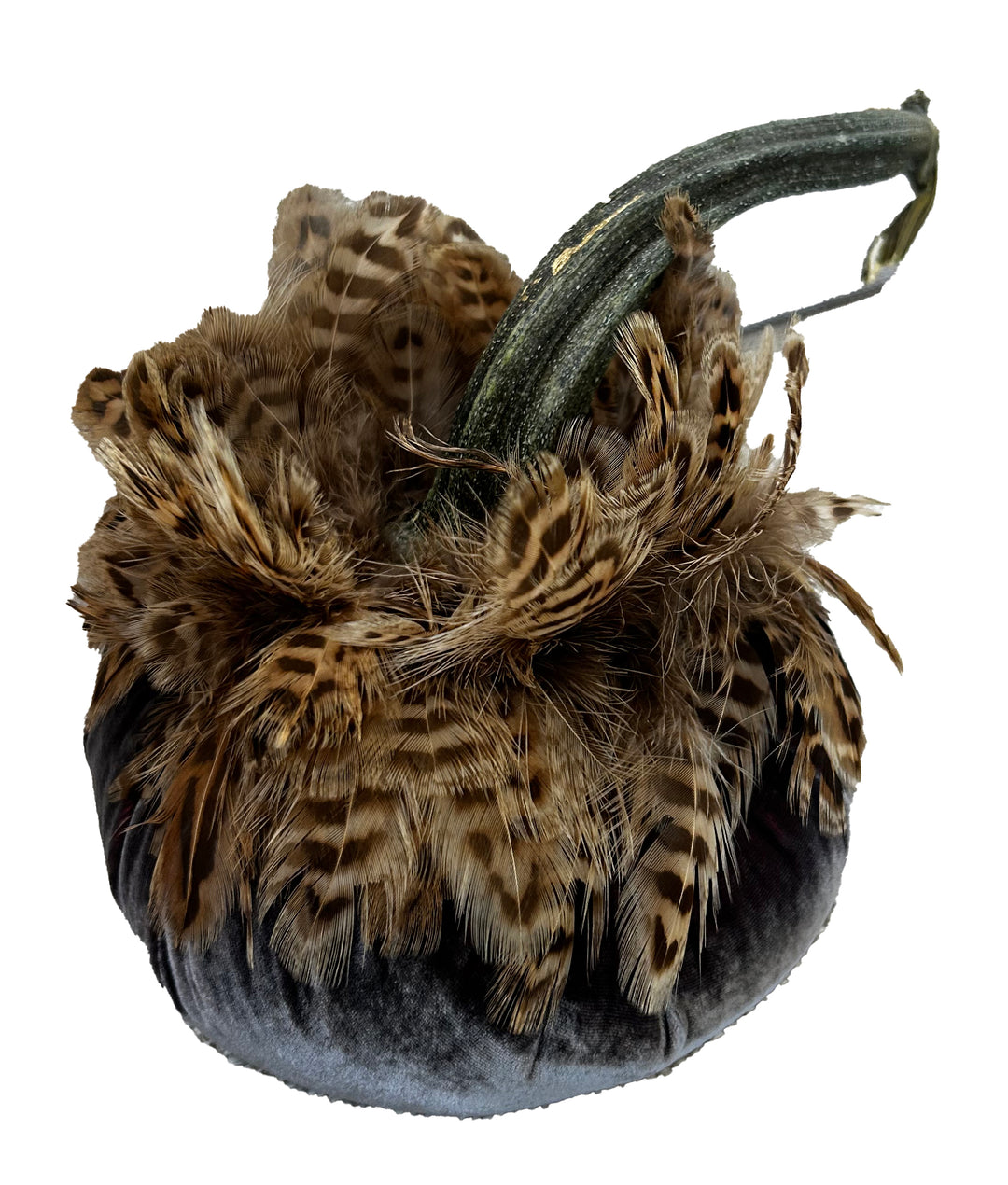 Velvet Pumpkin with Feather Collar
