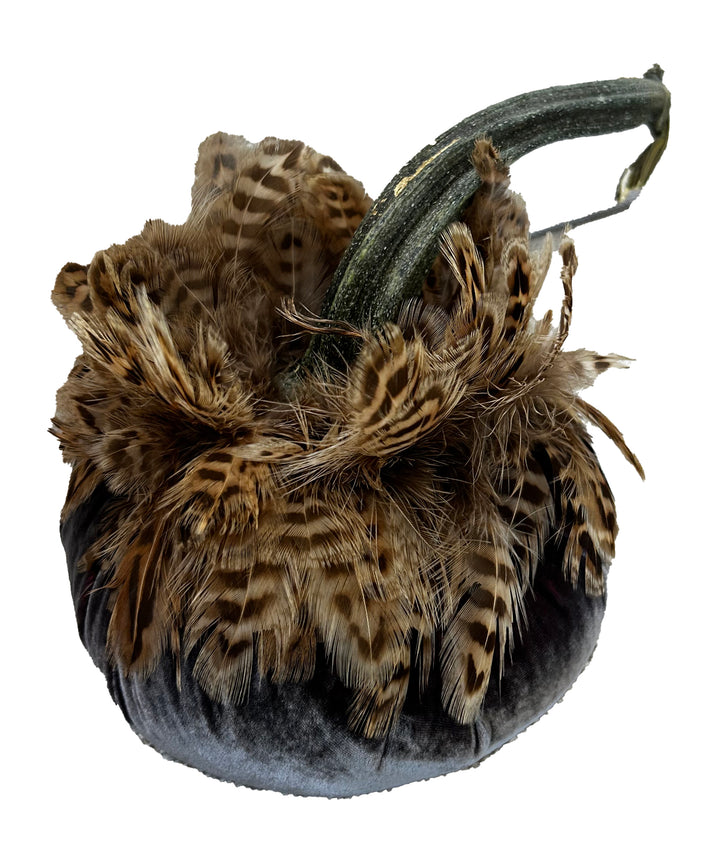 Velvet Pumpkin with Feather Collar
