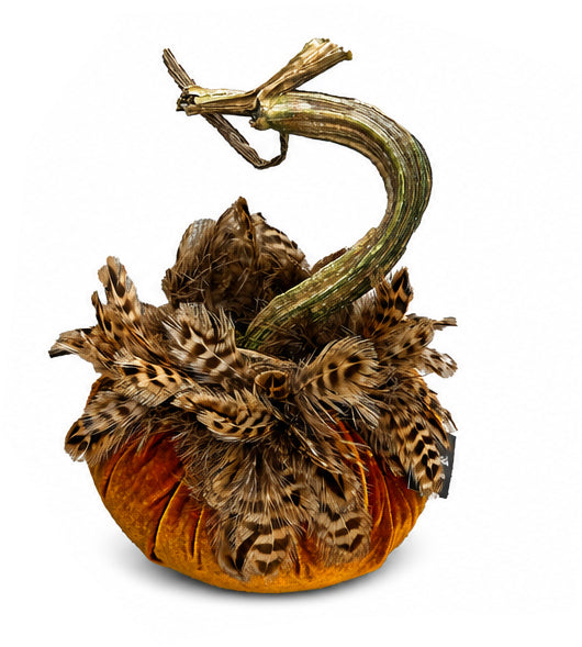 Velvet Pumpkin with Feather Collar