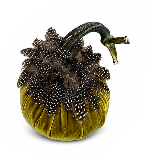 Velvet Pumpkin with Feather Collar